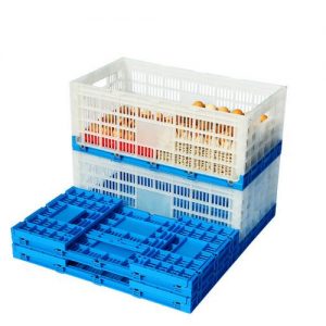 Foldable Egg Crate